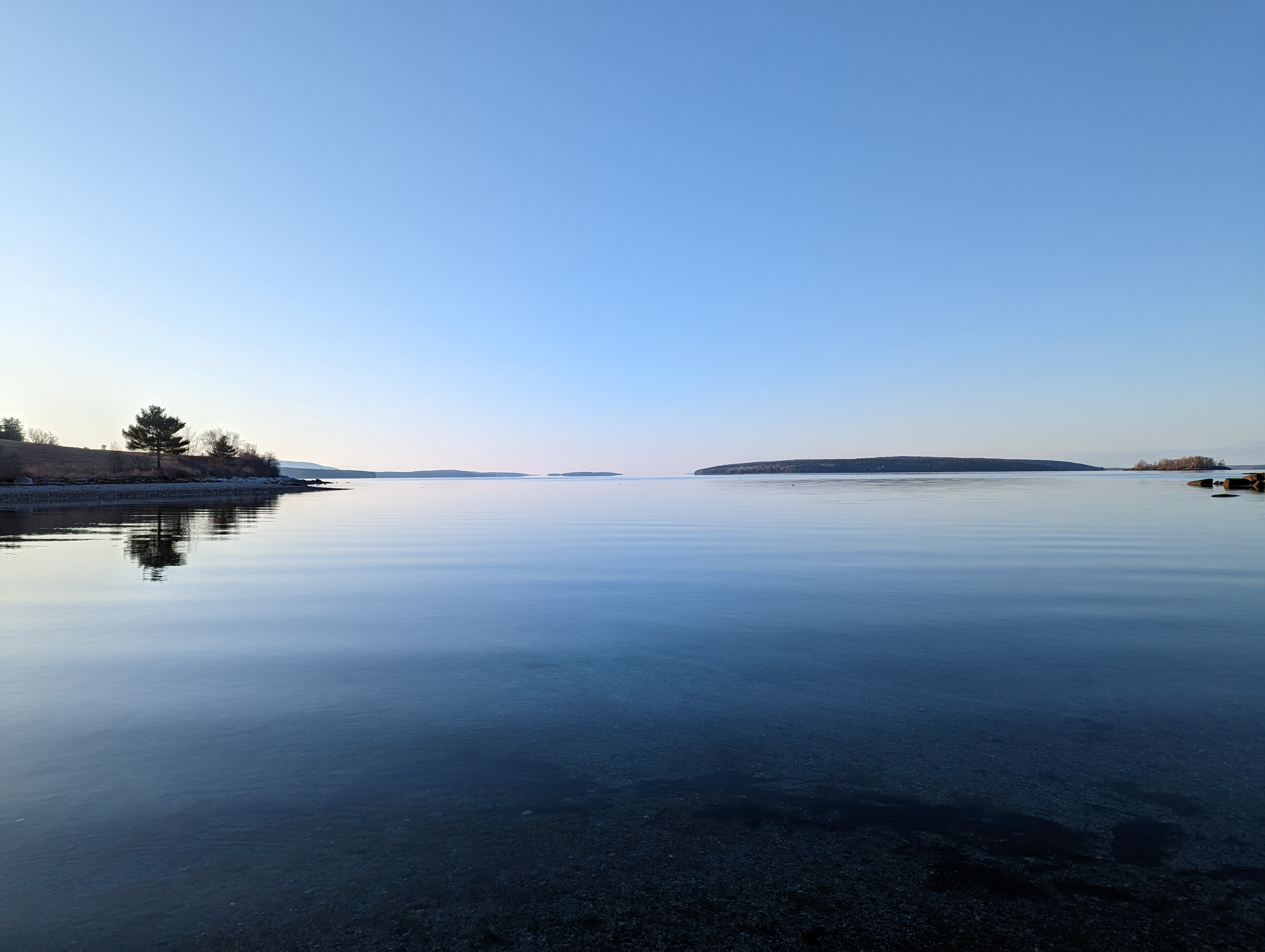 Soft light on the Downeast Maine coastline