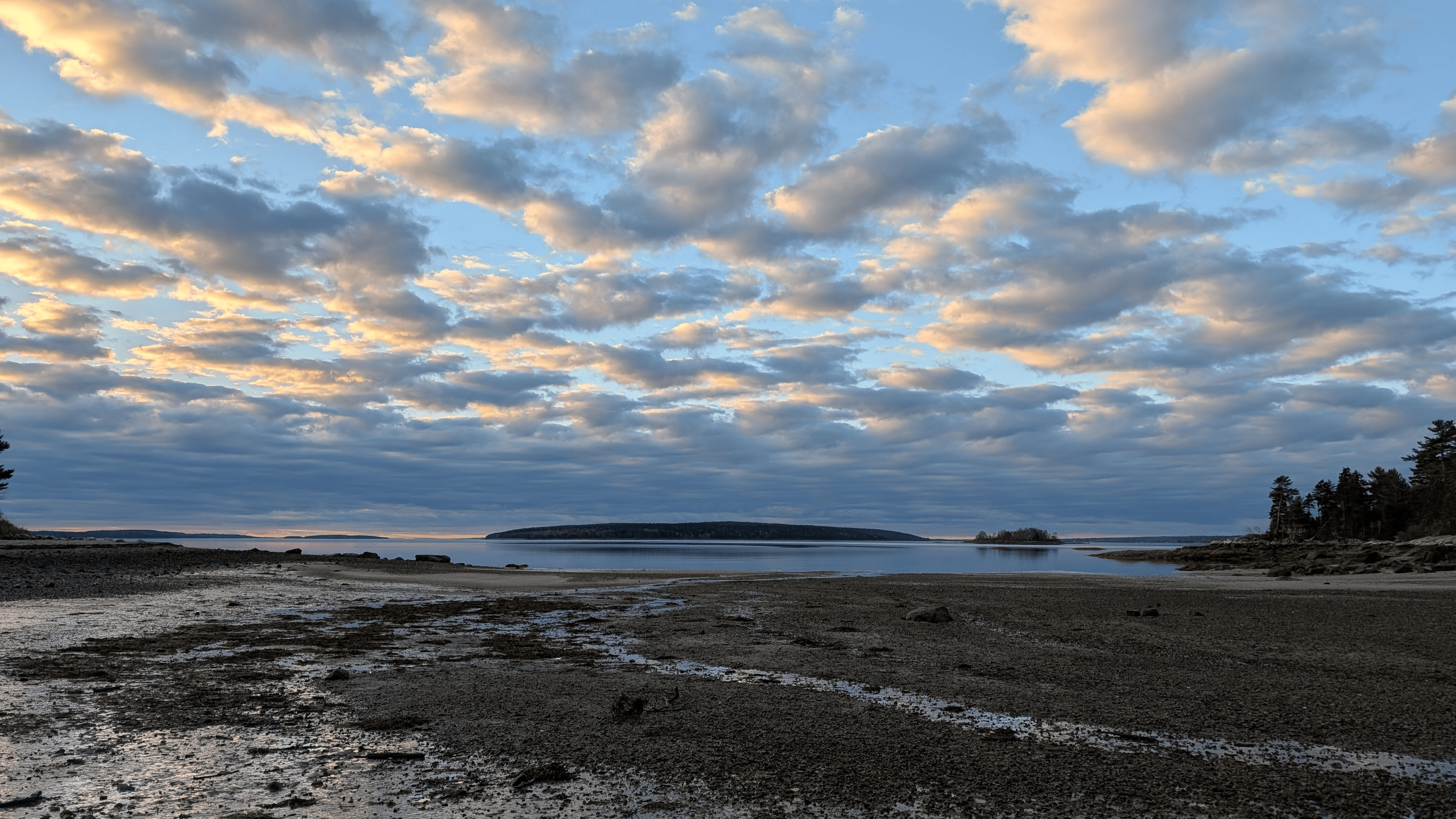 Tidal shoreline at dusk on the Downeast Maine coast